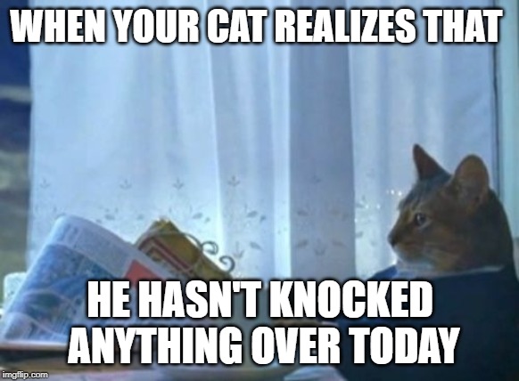 I Should Buy A Boat Cat Meme | WHEN YOUR CAT REALIZES THAT; HE HASN'T KNOCKED ANYTHING OVER TODAY | image tagged in memes,i should buy a boat cat | made w/ Imgflip meme maker