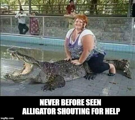help! | NEVER BEFORE SEEN ALLIGATOR SHOUTING FOR HELP | image tagged in alligator,help | made w/ Imgflip meme maker