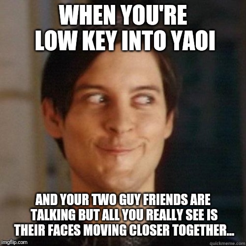evil smile | WHEN YOU'RE LOW KEY INTO YAOI; AND YOUR TWO GUY FRIENDS ARE TALKING BUT ALL YOU REALLY SEE IS THEIR FACES MOVING CLOSER TOGETHER... | image tagged in evil smile | made w/ Imgflip meme maker