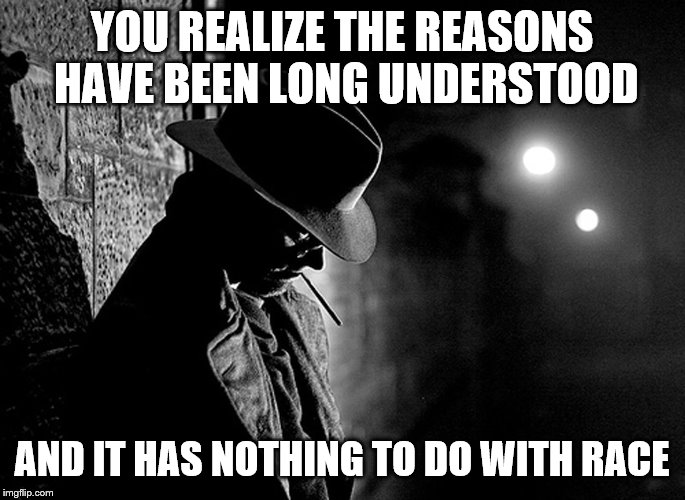 YOU REALIZE THE REASONS HAVE BEEN LONG UNDERSTOOD AND IT HAS NOTHING TO DO WITH RACE | made w/ Imgflip meme maker