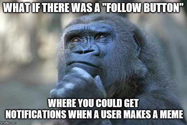 that is the question | WHAT IF THERE WAS A "FOLLOW BUTTON"; WHERE YOU COULD GET NOTIFICATIONS WHEN A USER MAKES A MEME | image tagged in that is the question | made w/ Imgflip meme maker