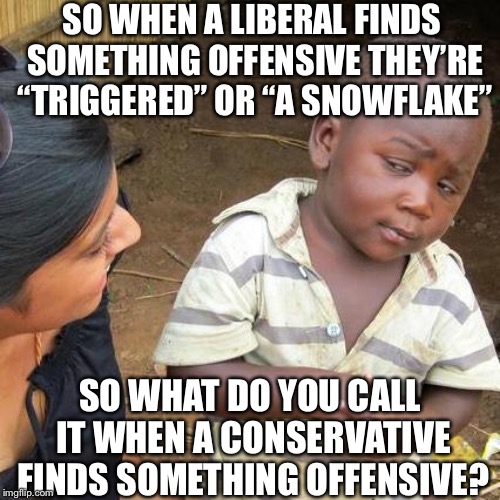 Even more political hypocrisy | SO WHEN A LIBERAL FINDS SOMETHING OFFENSIVE THEY’RE “TRIGGERED” OR “A SNOWFLAKE”; SO WHAT DO YOU CALL IT WHEN A CONSERVATIVE FINDS SOMETHING OFFENSIVE? | image tagged in memes,third world skeptical kid,hypocrisy,conservatives,liberals | made w/ Imgflip meme maker