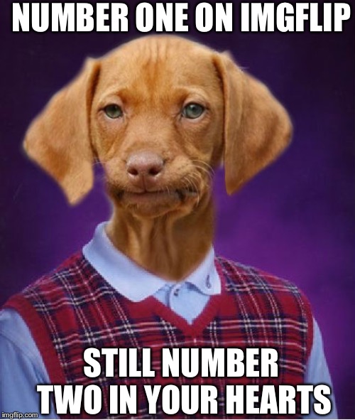 Bad Luck Raydog | NUMBER ONE ON IMGFLIP STILL NUMBER TWO IN YOUR HEARTS | image tagged in bad luck raydog | made w/ Imgflip meme maker