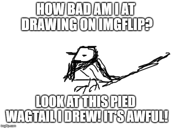 I suck at drawing on ImgFlip.... This is how bad I am... | HOW BAD AM I AT DRAWING ON IMGFLIP? LOOK AT THIS PIED WAGTAIL I DREW! IT'S AWFUL! | image tagged in blank white template,bad drawing,pied wagtail,i suck | made w/ Imgflip meme maker