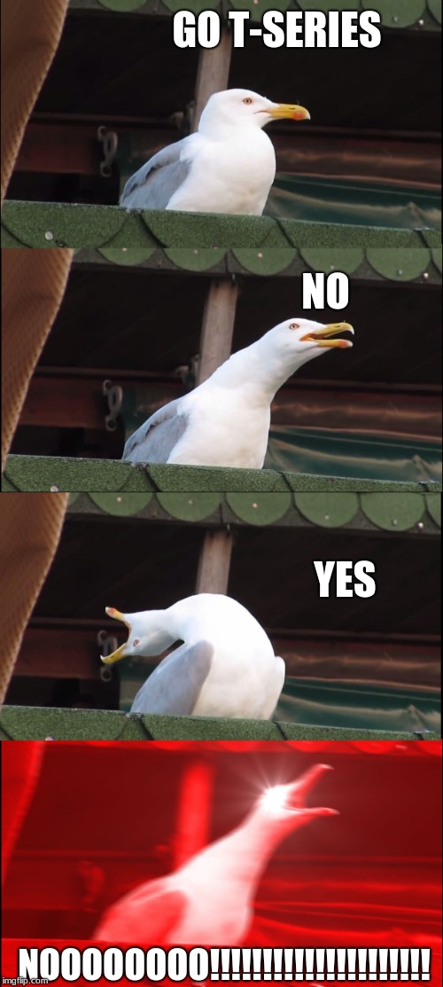 Inhaling Seagull | GO T-SERIES; NO; YES; NOOOOOOOO!!!!!!!!!!!!!!!!!!!!! | image tagged in memes,inhaling seagull | made w/ Imgflip meme maker