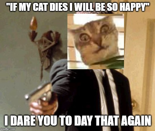 I dare you human | "IF MY CAT DIES I WILL BE SO HAPPY"; I DARE YOU TO DAY THAT AGAIN | image tagged in cats | made w/ Imgflip meme maker