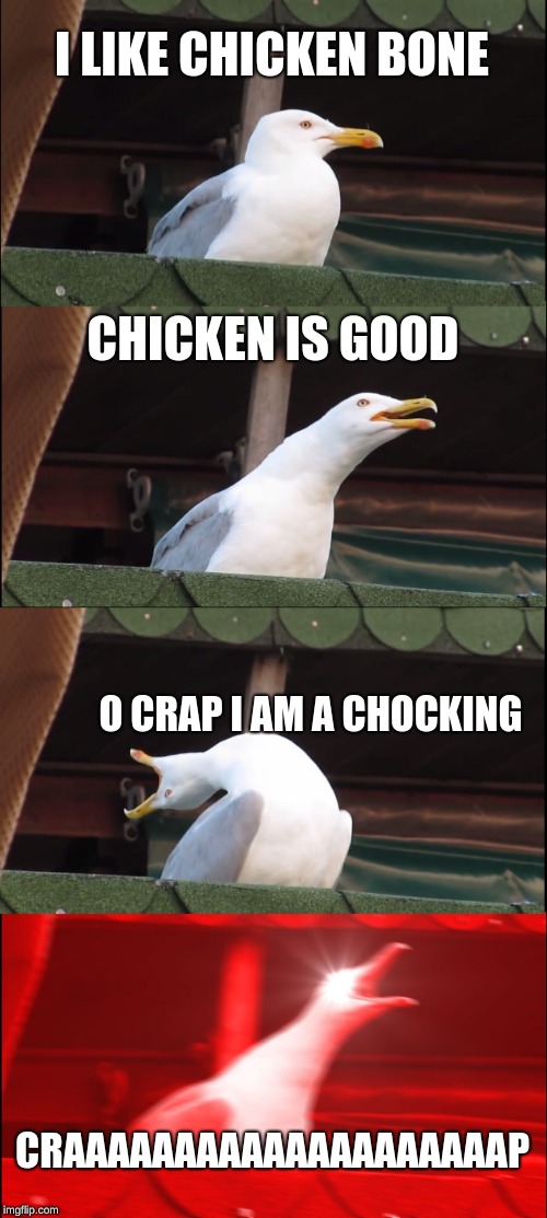 Inhaling Seagull Meme | I LIKE CHICKEN BONE; CHICKEN IS GOOD; O CRAP I AM A CHOCKING; CRAAAAAAAAAAAAAAAAAAAAP | image tagged in memes,inhaling seagull | made w/ Imgflip meme maker