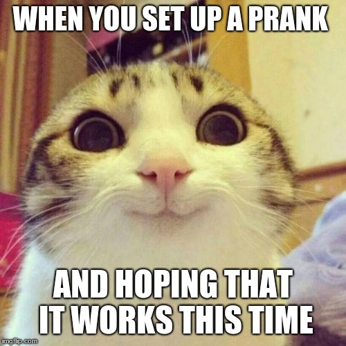 Cat Prankster | WHEN YOU SET UP A PRANK; AND HOPING THAT IT WORKS THIS TIME | image tagged in memes,smiling cat,funny memes,cats,april fools,pranks | made w/ Imgflip meme maker