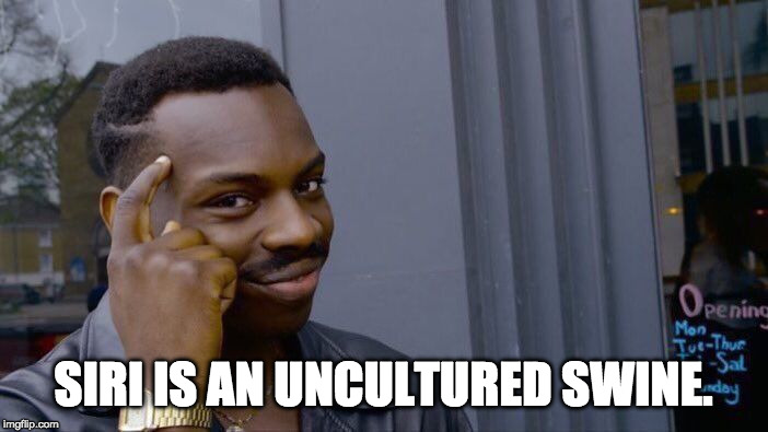 Roll Safe Think About It Meme | SIRI IS AN UNCULTURED SWINE. | image tagged in memes,roll safe think about it | made w/ Imgflip meme maker