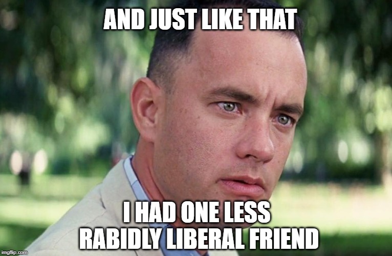 And Just Like That Meme | AND JUST LIKE THAT; I HAD ONE LESS RABIDLY LIBERAL FRIEND | image tagged in and just like that | made w/ Imgflip meme maker