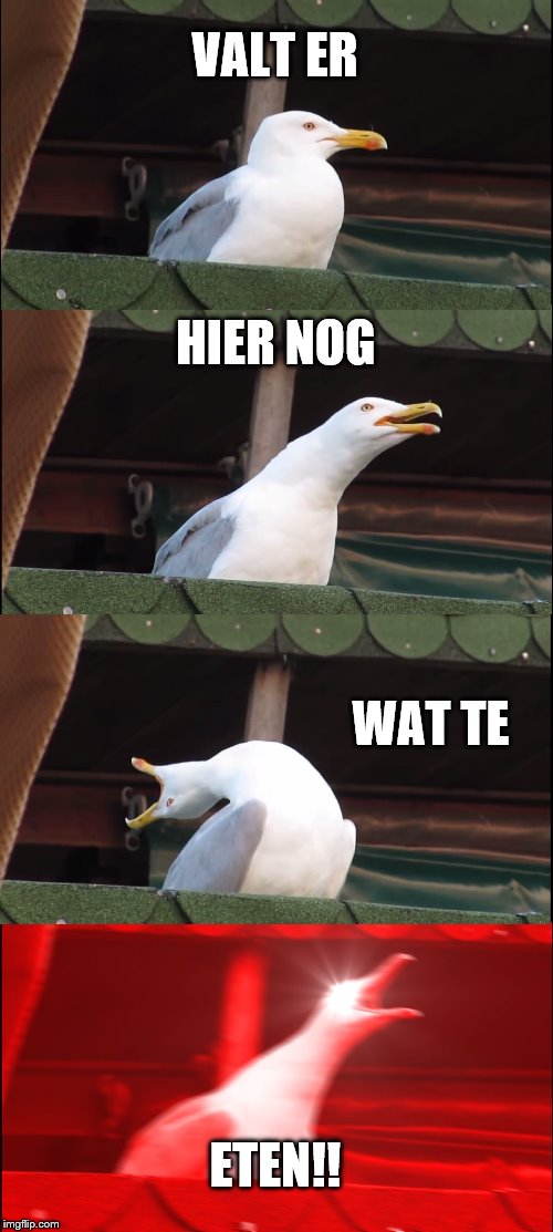 Inhaling Seagull Meme | VALT ER; HIER NOG; WAT TE; ETEN!! | image tagged in memes,inhaling seagull | made w/ Imgflip meme maker