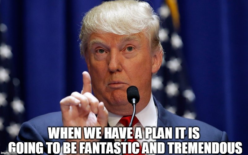 Donald Trump | WHEN WE HAVE A PLAN IT IS GOING TO BE FANTASTIC AND TREMENDOUS | image tagged in donald trump | made w/ Imgflip meme maker