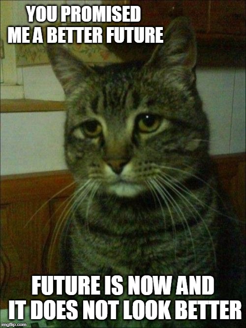 Depressed Cat | YOU PROMISED ME A BETTER FUTURE; FUTURE IS NOW AND IT DOES NOT LOOK BETTER | image tagged in memes,depressed cat | made w/ Imgflip meme maker