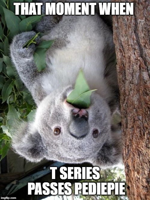 Surprised Koala | THAT MOMENT WHEN; T SERIES PASSES PEDIEPIE | image tagged in memes,surprised koala | made w/ Imgflip meme maker