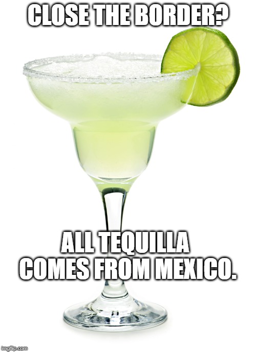 margarita | CLOSE THE BORDER? ALL TEQUILLA COMES FROM MEXICO. | image tagged in margarita | made w/ Imgflip meme maker