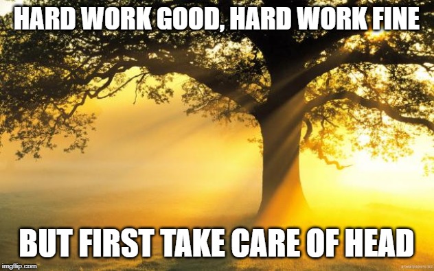 nature | HARD WORK GOOD, HARD WORK FINE; BUT FIRST TAKE CARE OF HEAD | image tagged in nature | made w/ Imgflip meme maker