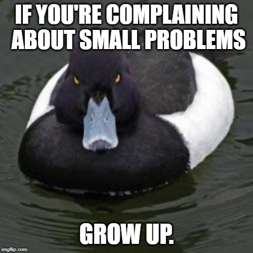 Angry Advice Mallard | IF YOU'RE COMPLAINING ABOUT SMALL PROBLEMS; GROW UP. | image tagged in angry advice mallard | made w/ Imgflip meme maker