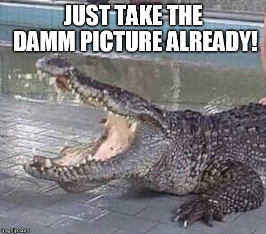 JUST TAKE THE DAMM PICTURE ALREADY! | made w/ Imgflip meme maker