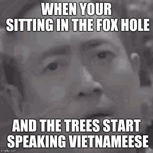 vietnam war flashback | WHEN YOUR SITTING IN THE FOX HOLE; AND THE TREES START SPEAKING VIETNAMEESE | image tagged in vietnam war flashback | made w/ Imgflip meme maker