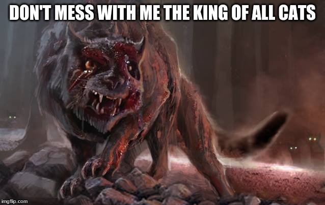 scp 511 | DON'T MESS WITH ME THE KING OF ALL CATS | image tagged in scp 511 | made w/ Imgflip meme maker