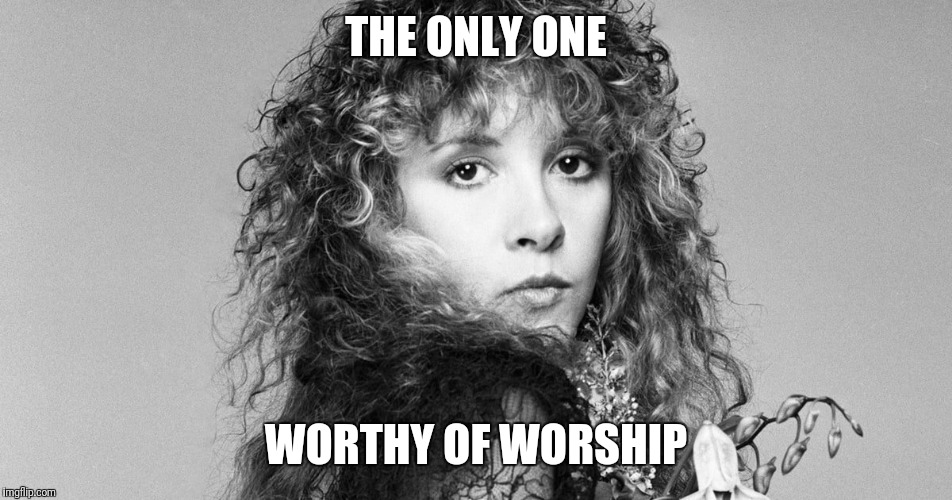 Stevie Nicks | THE ONLY ONE; WORTHY OF WORSHIP | image tagged in stevie nicks | made w/ Imgflip meme maker