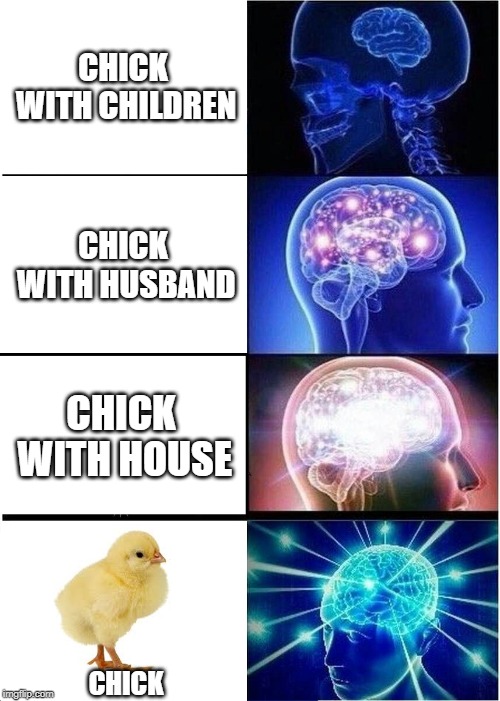 Expanding Brain Meme | CHICK WITH CHILDREN; CHICK WITH HUSBAND; CHICK WITH HOUSE; CHICK | image tagged in memes,expanding brain | made w/ Imgflip meme maker