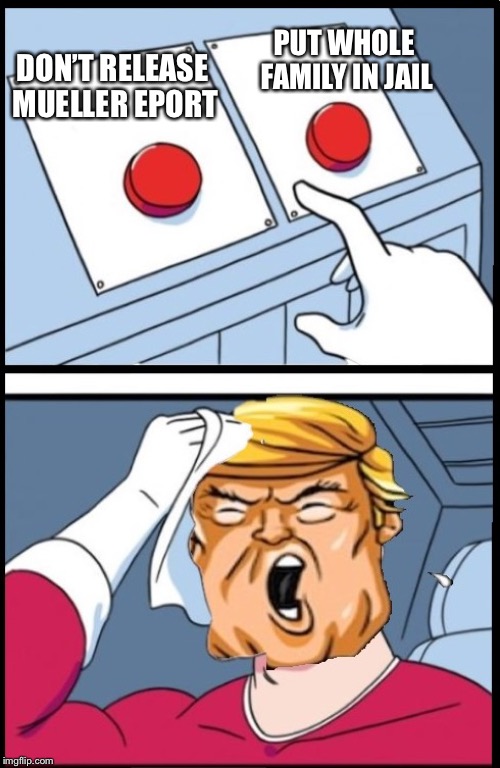 Two Buttons Trump | PUT WHOLE FAMILY IN JAIL; DON’T RELEASE MUELLER EPORT | image tagged in two buttons trump,memes | made w/ Imgflip meme maker