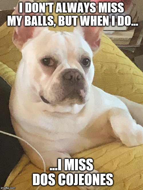 Most interesting dog in the world | I DON'T ALWAYS MISS MY BALLS, BUT WHEN I DO... ...I MISS DOS COJEONES | image tagged in dog | made w/ Imgflip meme maker