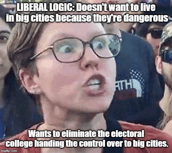 CRAZY LIBERAL LOGIC ON THE ELECTORAL COLLEGE | LIBERAL LOGIC: Doesn't want to live in big cities because they're dangerous; Wants to eliminate the electoral college handing the control over to big cities. | image tagged in triggered liberal,electoral college | made w/ Imgflip meme maker