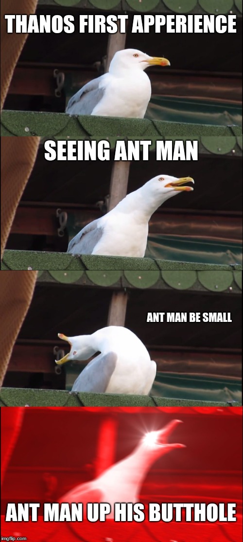 Inhaling Seagull | THANOS FIRST APPERIENCE; SEEING ANT MAN; ANT MAN BE SMALL; ANT MAN UP HIS BUTTHOLE | image tagged in memes,inhaling seagull | made w/ Imgflip meme maker