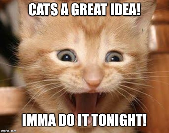 Excited Cat Meme | CATS A GREAT IDEA! IMMA DO IT TONIGHT! | image tagged in memes,excited cat | made w/ Imgflip meme maker