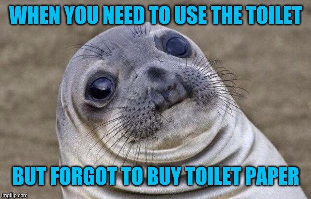 Ah, the joys of adulting... | WHEN YOU NEED TO USE THE TOILET; BUT FORGOT TO BUY TOILET PAPER | image tagged in memes,awkward moment sealion,toilet,toilet paper | made w/ Imgflip meme maker