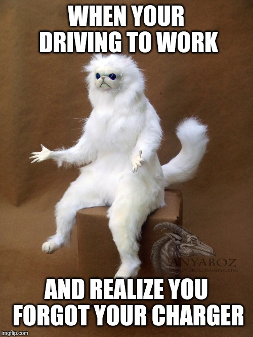 Persian Cat Room Guardian Single Meme | WHEN YOUR DRIVING TO WORK; AND REALIZE YOU FORGOT YOUR CHARGER | image tagged in memes,persian cat room guardian single | made w/ Imgflip meme maker