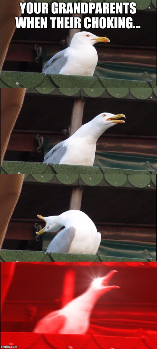 Inhaling Seagull Meme | YOUR GRANDPARENTS WHEN THEIR CHOKING... | image tagged in memes,inhaling seagull | made w/ Imgflip meme maker