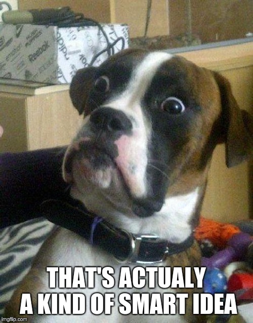 Surprised Dog | THAT'S ACTUALY A KIND OF SMART IDEA | image tagged in surprised dog | made w/ Imgflip meme maker
