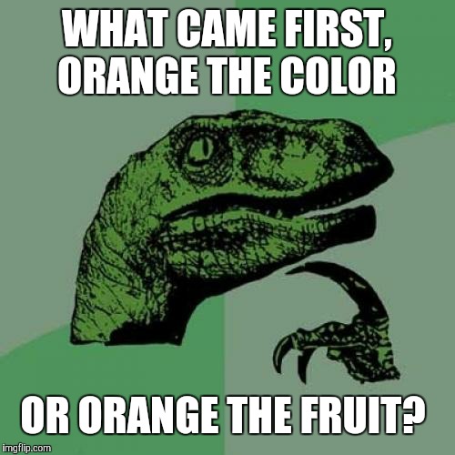 If someone already used the caption in a different meme, I'll be none too thrilled. | WHAT CAME FIRST, ORANGE THE COLOR; OR ORANGE THE FRUIT? | image tagged in memes,philosoraptor,orange,colors,fruit | made w/ Imgflip meme maker