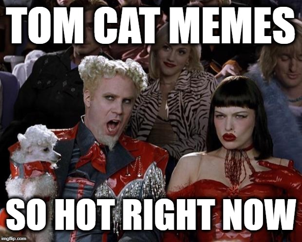 Mugatu So Hot Right Now Meme | TOM CAT MEMES; SO HOT RIGHT NOW | image tagged in memes,mugatu so hot right now | made w/ Imgflip meme maker