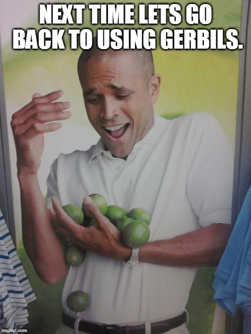 Why Can't I Hold All These Limes Meme | NEXT TIME LETS GO BACK TO USING GERBILS. | image tagged in memes,why can't i hold all these limes | made w/ Imgflip meme maker