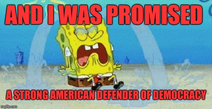 cryin | AND I WAS PROMISED A STRONG AMERICAN DEFENDER OF DEMOCRACY | image tagged in cryin | made w/ Imgflip meme maker