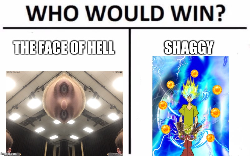 Who Would Win? Meme | THE FACE OF HELL; SHAGGY | image tagged in memes,who would win | made w/ Imgflip meme maker