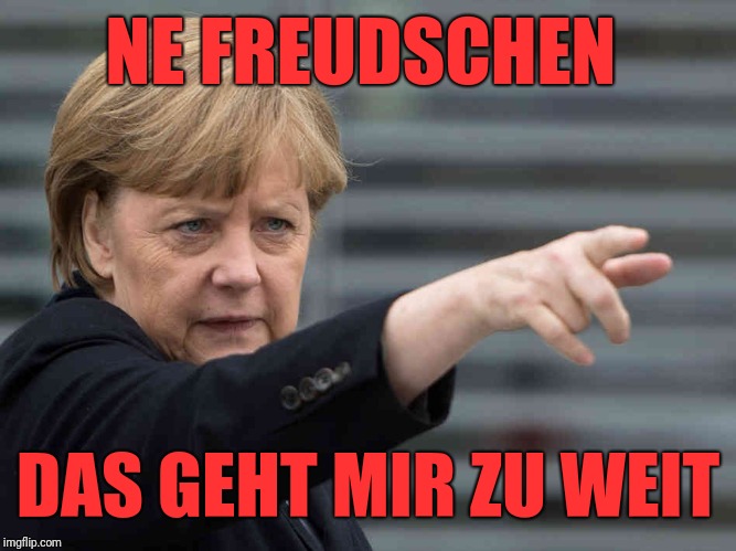 Merkel: Das wird Verboten! | NE FREUDSCHEN DAS GEHT MIR ZU WEIT | image tagged in merkel das wird verboten | made w/ Imgflip meme maker
