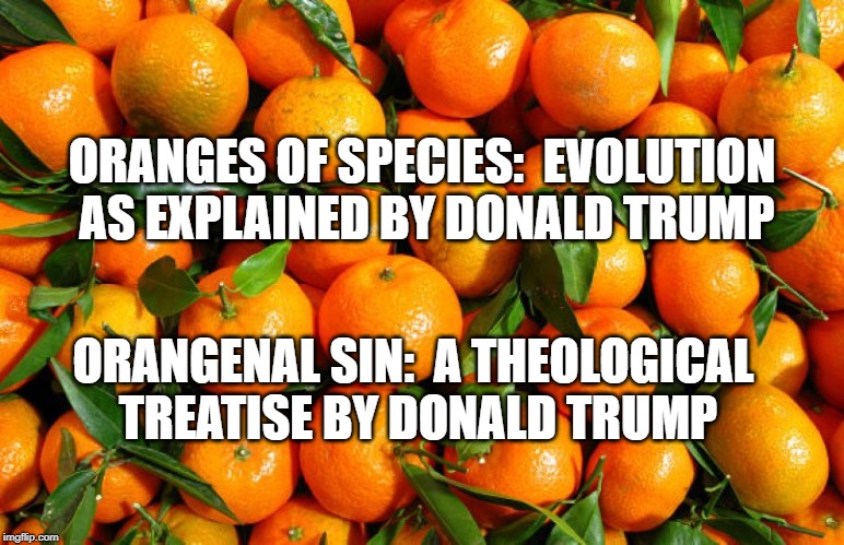 Oranges | ORANGES OF SPECIES:  EVOLUTION AS EXPLAINED BY DONALD TRUMP; ORANGENAL SIN:  A THEOLOGICAL TREATISE BY DONALD TRUMP | image tagged in political humor | made w/ Imgflip meme maker