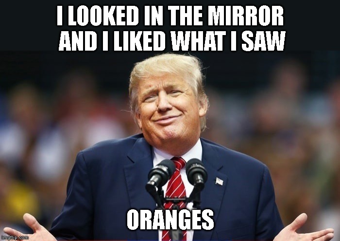 It is hard to get hair and face to match burnt orange. | I LOOKED IN THE MIRROR AND I LIKED WHAT I SAW; ORANGES | image tagged in donald trump is an idiot,trump is a moron | made w/ Imgflip meme maker