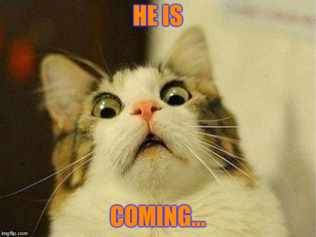Scared Cat | HE IS; COMING... | image tagged in memes,scared cat | made w/ Imgflip meme maker