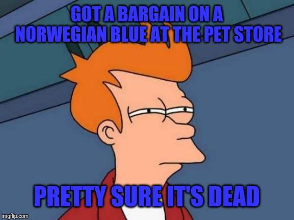 Bet you won't know what this is a reference to... | GOT A BARGAIN ON A NORWEGIAN BLUE AT THE PET STORE; PRETTY SURE IT'S DEAD | image tagged in memes,futurama fry,dead bird,tv references,puns | made w/ Imgflip meme maker