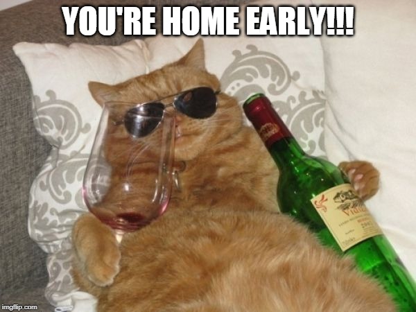 Wine Cat Birthday | YOU'RE HOME EARLY!!! | image tagged in wine cat birthday | made w/ Imgflip meme maker