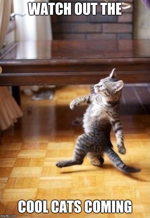 Cool Cat Stroll | WATCH OUT THE; COOL CATS COMING | image tagged in memes,cool cat stroll | made w/ Imgflip meme maker