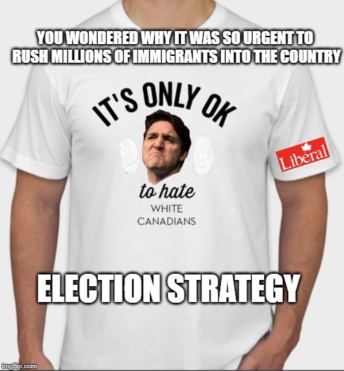 Yup, he's going there | YOU WONDERED WHY IT WAS SO URGENT TO RUSH MILLIONS OF IMMIGRANTS INTO THE COUNTRY; ELECTION STRATEGY | image tagged in justin trudeau,trudeau,liberal logic,racism,hate,meanwhile in canada | made w/ Imgflip meme maker