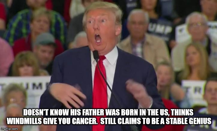 Donald Trump Mocking Disabled | DOESN'T KNOW HIS FATHER WAS BORN IN THE US, THINKS WINDMILLS GIVE YOU CANCER.  STILL CLAIMS TO BE A STABLE GENIUS | image tagged in donald trump mocking disabled | made w/ Imgflip meme maker