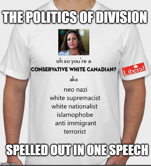 One speech to define the election | THE POLITICS OF DIVISION; SPELLED OUT IN ONE SPEECH | image tagged in justin trudeau,trudeau,liberal hypocrisy,liberal logic,meanwhile in canada,liberal vs conservative | made w/ Imgflip meme maker